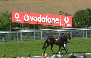 Arn't you meant to ride it?