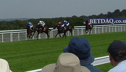 Race 2 won by Fong's Thong (